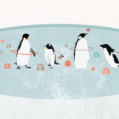 1920 x 1080 HD Wallpapers 329